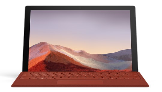 师宗清洁和维护 Surface